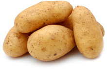Kartoffeln Darling festkochend