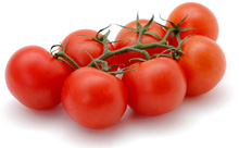 Strauchtomaten