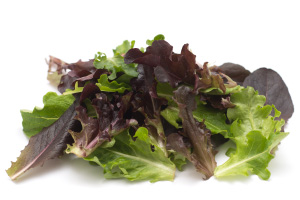 Baby-leaf Salat